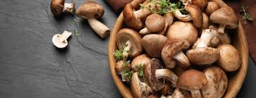You Can Get Health Benefits From Mushrooms
