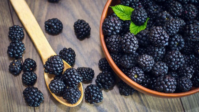 Why is Mulberry Best For Your Health?