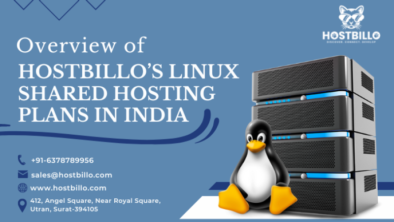 Overview of Hostbillo’s Linux shared Hosting Plans in India