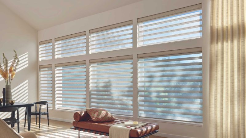 Best Window blinds for your home