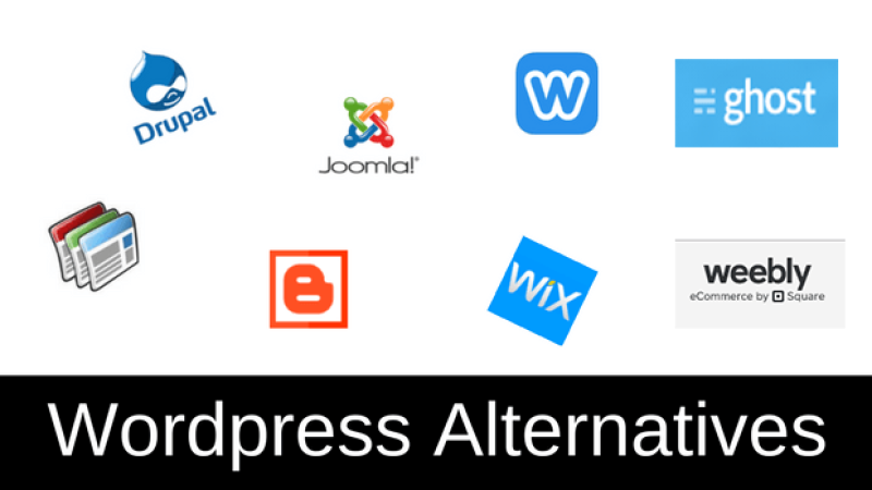 The-Most-Popular-WordPress-Alternatives