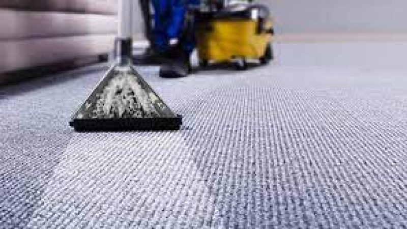How Professional Carpet Cleaner Services Can Restore Your Carpets To Like-New Condition